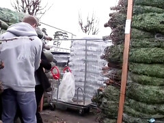 Leni-78 - Weihnachtsbaum-verkaufer Public Entsaftet