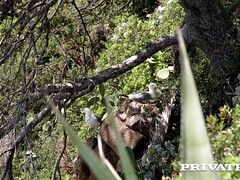 Gros cul, Gros seins, Blonde, Sucer une bite, Mère que j'aimerais baiser, De plein air, Plan cul à trois, Nénés