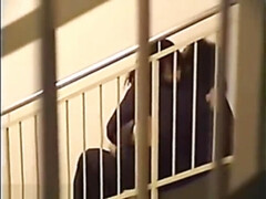 アジア人, カップル, 日本人, 公共