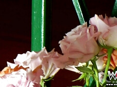 Big ass blonde Latina Bridgette B - amateur interracial hardcore