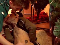 Pijpbeurt, Stel, Homo, Hardcore, Masturbatie, Politie, Pools