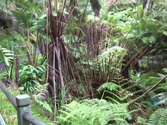 Любители, Черные, От первого лица, На публике, Тощие, Курящие, Сквиртинг, Влажная