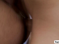 Anal, Gros seins, Gorge profonde, Jeunes transsexuelles thaïlandaises, Lécher le sphincter, Transsexuelle