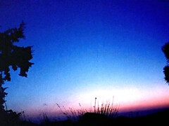 Gros seins, Blonde, Sucer une bite, Classique, Hd, Mère que j'aimerais baiser, Chatte, Nénés