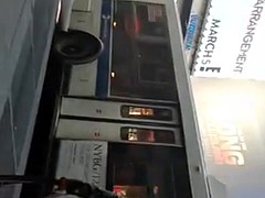 Черные, Черненькие, На природе