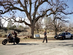 Lustful hispanic MILF Bridgette B incredible xxx video