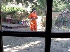 Любители, Большая жопа, Минет, Грудастые, Измена, Пирсинг, Тату, Сиськи