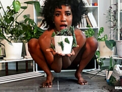 Cul, Noir ébène, Doigter, Poilue, Branlette thaïlandaise, Adolescente, Jouets, Webcam