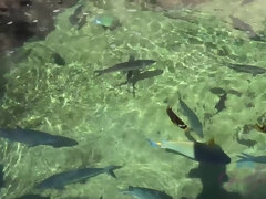 素人, ビーチ, 指いじり, 彼女, オーガズム, アウトドア, ハメ撮り, ガリガリ