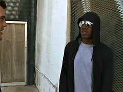 Любители, Анальный секс, Черные, Черненькие, Геи, На природе, На публике, Тату