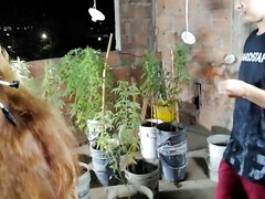 茶髪の, 巨乳な, 口内発射, カワイイ, Hd, ゴックンする, タトゥー, ティーン