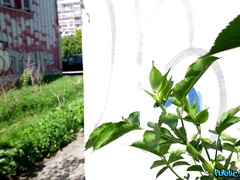 素人, デカチン, 巨乳な, イマラチオ, 手コキする, お金, タトゥー, オッパイの