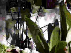 Blond, Sperma shot, Spel, Hardcore, Interraciaal, Kut duiken, Tiener, Vrouw