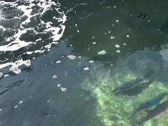 ビーチ, 指いじり, 露出狂, 彼女, ラティーナ, ヌード, オーガズム, 喫煙