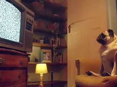 Enthousiasteling, Mooi, Hd, Lesbisch, Likken, Orgasme, Kut duiken, Tieten likken