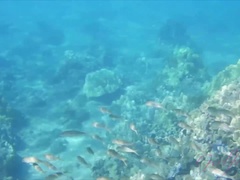 Amateur, Anal, Sucer une bite, Éjaculation interne, Doigter, Petite amie, De plein air, Pov