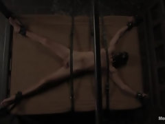 緊縛, ディルド, 顔面騎乗, 指いじり, ゴム, 苦痛, お仕置き, 奴隷
