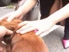 スカートのぞき