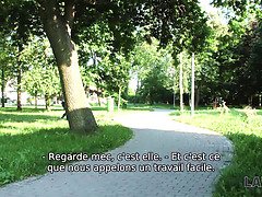 Bruinharig, Mollig, Hondjeshouding, Europees, Hd, Politie, Realiteit, Tiener