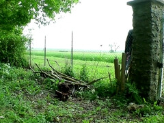 素人, 黒人, ハードコア, 人妻の, 淫乱熟女, アウトドア