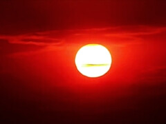 デカ尻, ブロンド, 茶髪の, チェコ, ハードコア, キス, ストリップ, タトゥー