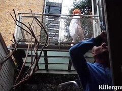 アナル, デカチン, デカパイ, フェラチオ, 茶髪の, 手コキする, 淫乱熟女, 自然山雀