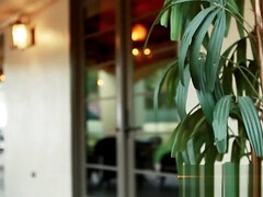 Leie, Amerikanisch, Schönheit, Paar, Süss, Kehlenfick, Natürlich, Titten