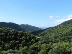 Blondine, Blasen, Doppelpenetration, Hd, Interrassisch, Flotter dreier