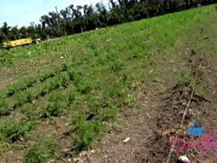 Arsch, Grosser arsch, Pov, Muschi, Jungendliche (18+), Titten