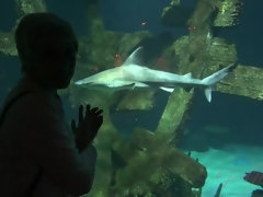 素人, 浴室, ブロンド, 彼女, パンティ, ハメ撮り, 剃毛, ショートヘア