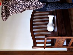 Трансвеститы, Геи