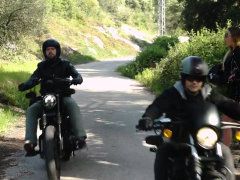 Blond, Pijpbeurt, Bruinharig, Groep, Hardcore, Hd, Gezichtspunt, Tiener