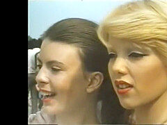 Francés, Peludo, Retro, Tailandés, Clasico