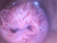 Tschechisch, Klaffend, Solo, Spielzeuge