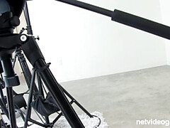 Bruinharig, Handbeurt, Hd