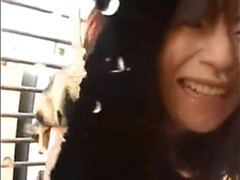 アジア人, 日本人