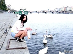 Pijpbeurt, Bruinharig, Hd, Kantoor, Schreeuwen, Geschoren