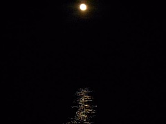 Groep, Ondergoed, Buiten, Panty, Feest, Gezichtspunt, Openbaar, Alleen