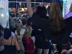 Lieveling, Grappig, Feest, Realiteit