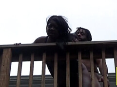 Tetas grandes, Negro, Mamada, Ébano, Sexo duro, Hd, Mamá, Al aire libre