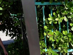 Kont, Grote kont, Grote lul, Handbeurt, Hardcore, Gezichtspunt, Openbaar, Kut duiken