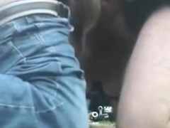 Blondine, Blasen, Viele männer bespritzen eine frau, Spermaladung, Hundestellung, Gruppensex, Hardcore, Hd