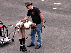 Садо мазо, Бондаж, Фетиш, Геи, Секс без цензуры