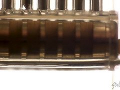 Американки, Грудастые, Фетиш, Хд, Лесбиянка, Зрелые, Милф, Втроем