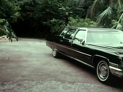 Kont, Grote kont, Grote mammen, Blond, Pijpbeurt, Hardcore, Moeder die ik wil neuken, Tieten likken