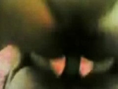 Leie, Braunhaarige, Behaart, Pov