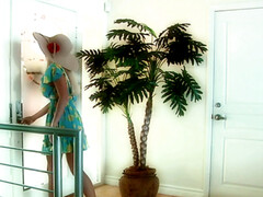 Минет, Брюнетки, Ласковые ручки, Секс без цензуры, Хд, Лизание, Киски, Бритые