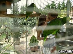 美人, ブロンド, フェラチオ, 指いじり, 自然山雀, ガリガリ, ティーン, オッパイの