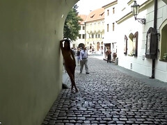 素人, フェラチオ, カワイイ, フェティッシュ, 乳首, アウトドア, 公共, オッパイの