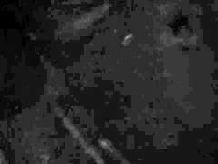 Пальцем, Чулки, Винтаж